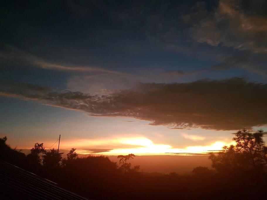 Kasauli Cascade A Cheerfull 4 Bedroom Challet Εξωτερικό φωτογραφία