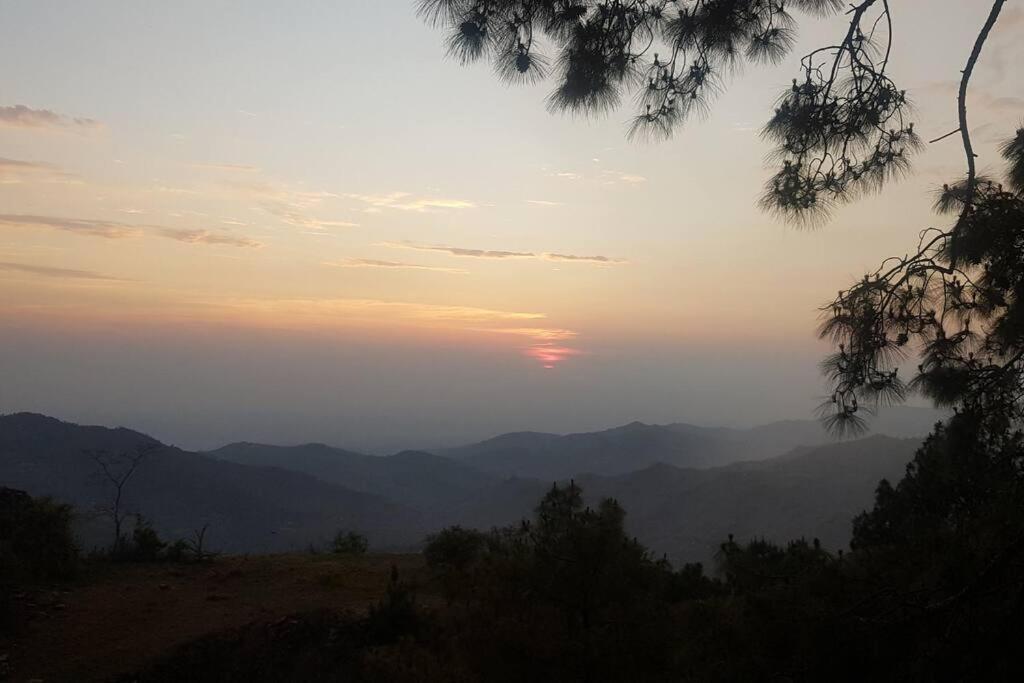 Kasauli Cascade A Cheerfull 4 Bedroom Challet Εξωτερικό φωτογραφία