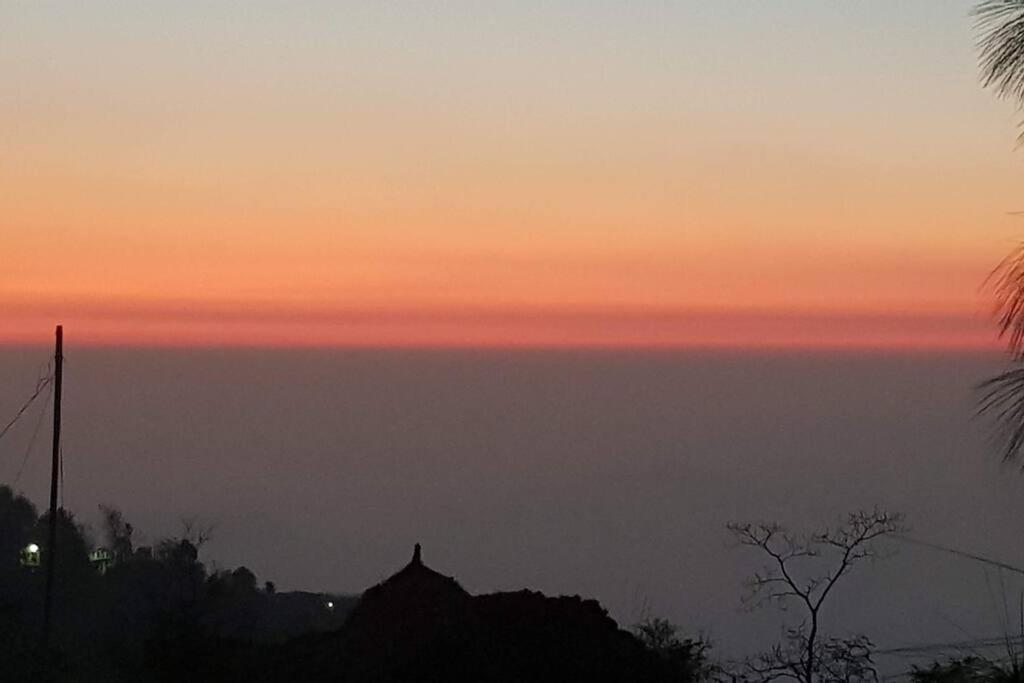 Kasauli Cascade A Cheerfull 4 Bedroom Challet Εξωτερικό φωτογραφία