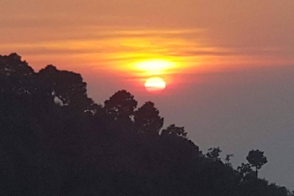 Kasauli Cascade A Cheerfull 4 Bedroom Challet Εξωτερικό φωτογραφία