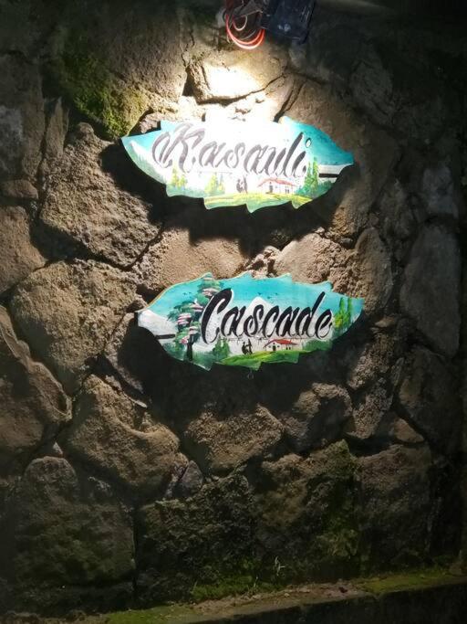 Kasauli Cascade A Cheerfull 4 Bedroom Challet Εξωτερικό φωτογραφία