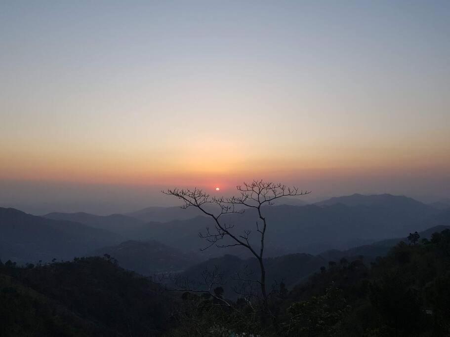 Kasauli Cascade A Cheerfull 4 Bedroom Challet Εξωτερικό φωτογραφία