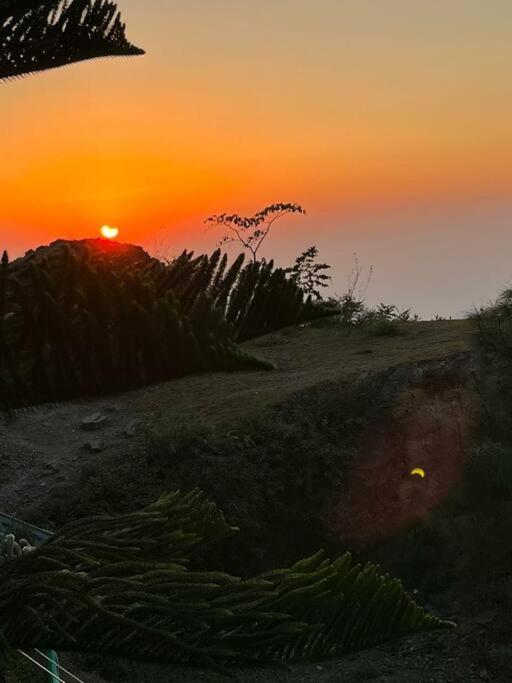 Kasauli Cascade A Cheerfull 4 Bedroom Challet Εξωτερικό φωτογραφία